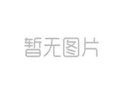 新加坡概況